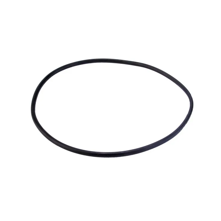 Joint de filtre DN50