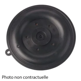 Membrane Viton pour EV