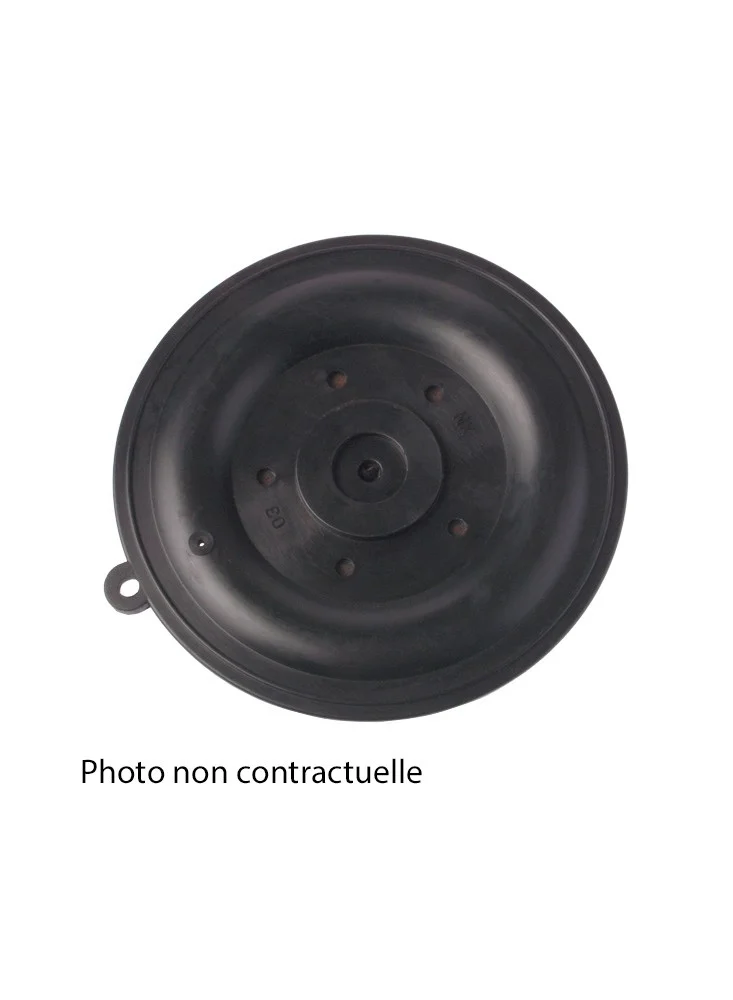 Membrane Viton pour EV