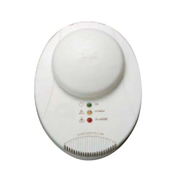 Détecteur de gaz naturel