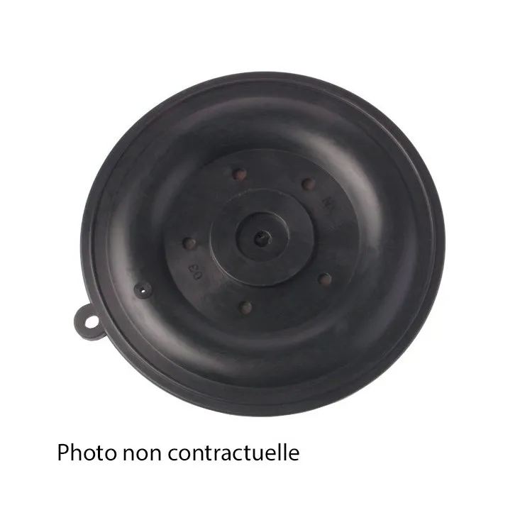 Membrane Viton pour EV 3/8" 1/4"