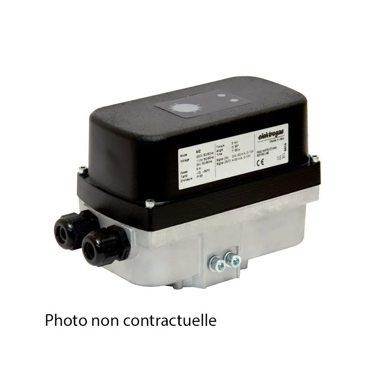 Servomoteur MZ4A 2/3 points Servomoteur MZ4A 2/3 points