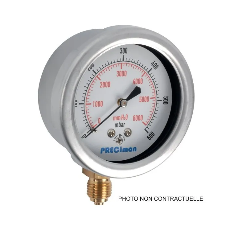Manomètre 250 mbar dia 100 inox