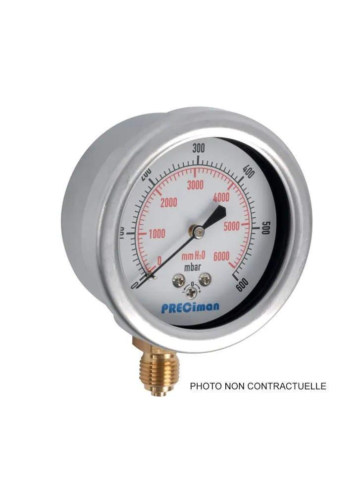 Manomètre 250 mbar dia 100 inox