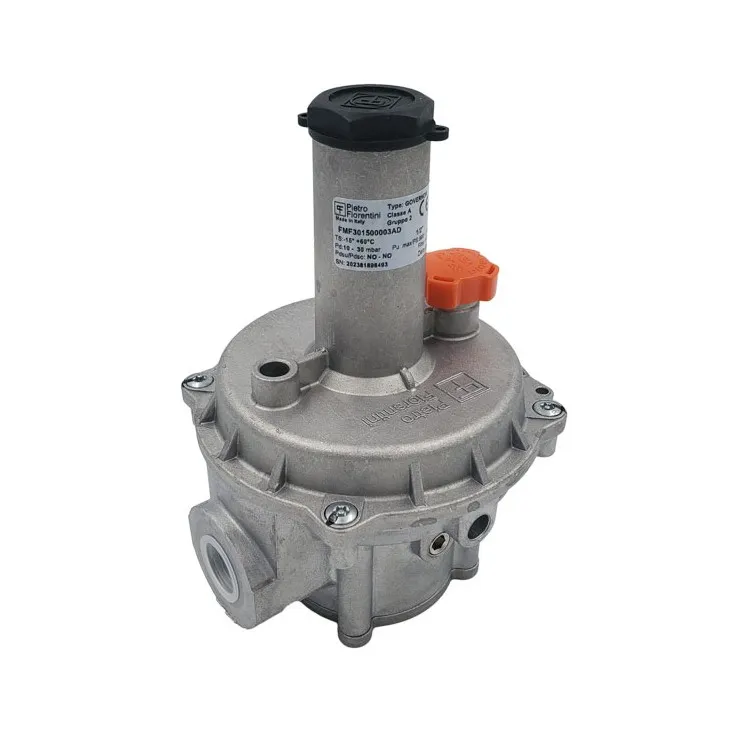 Régulateur 5 à 300 mbar 1/2