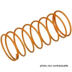 Ressort 60/110 mbar pour FRS 507
