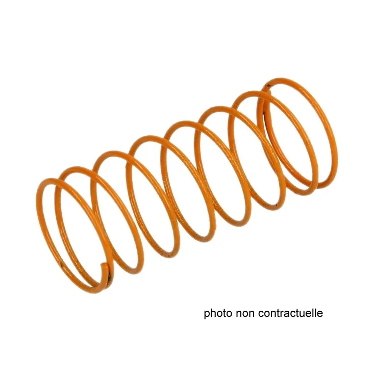 Ressort 30/70 mbar pour FRS 507