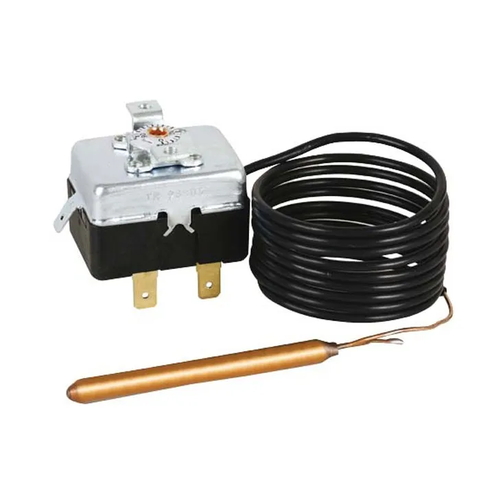 Aquastat réglage interne 0-90°C