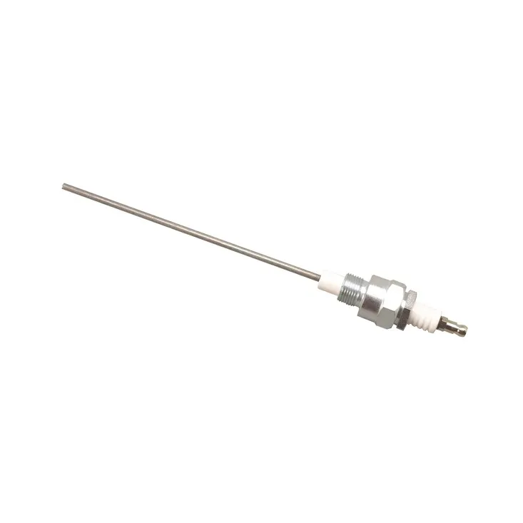 Electrode dia.5 l.200 1/4 NPT