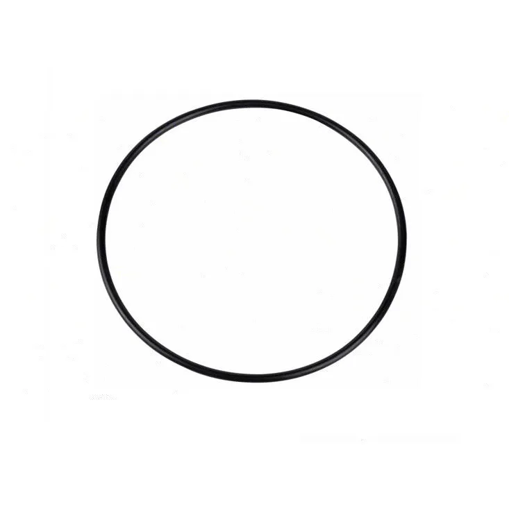 Joint couvercle pompe Riello