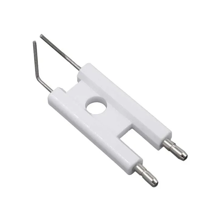 Electrodes S58528435 Chappée