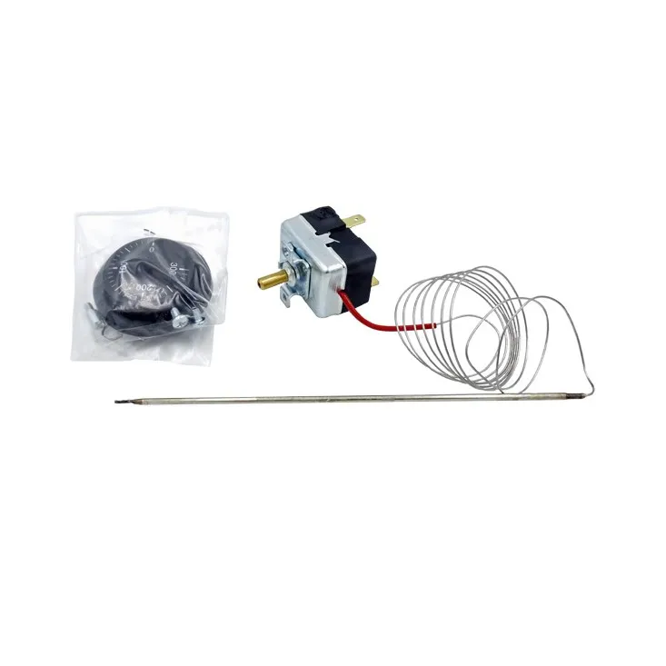 Aquastat réglage externe 0-300°C